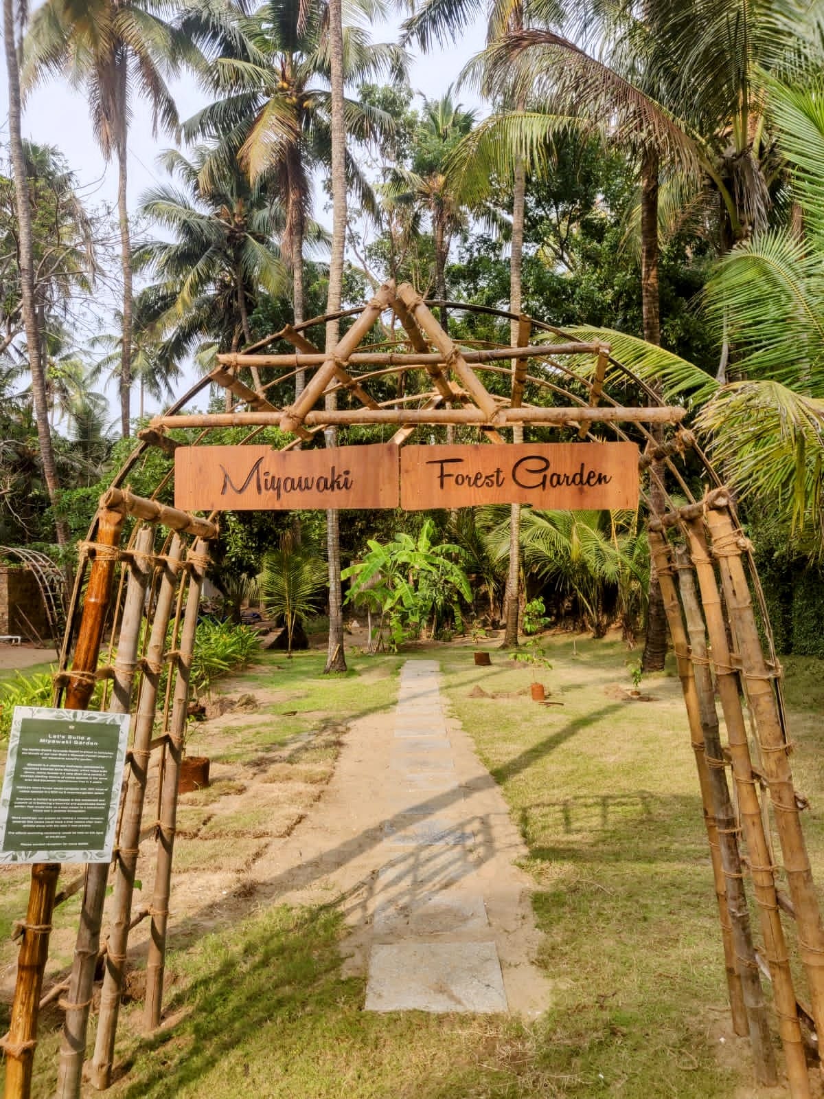 Miyawaki Forest Garden - The Nattika Beach