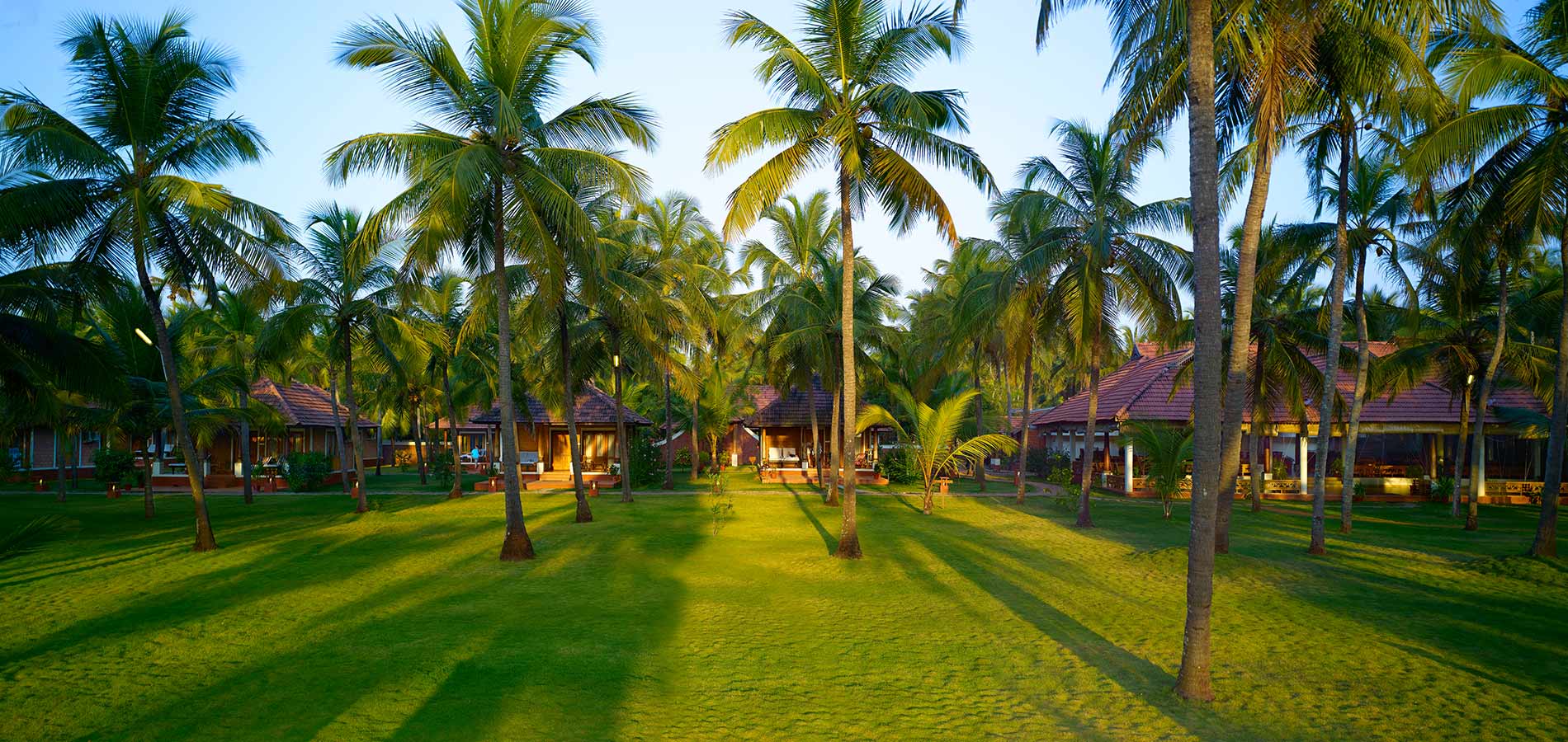 Nattika Beach Ayurveda Resort: A Journey to Wellness and Rejuvenation