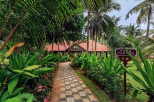 best season to visit beach resort kerala