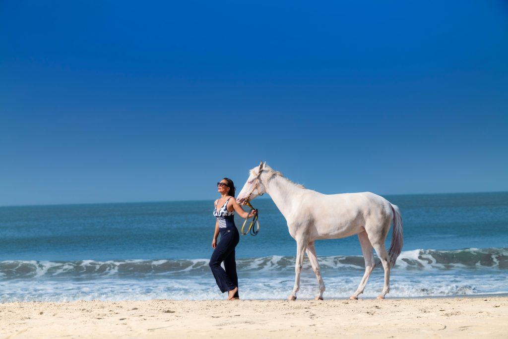 Die Anreise zum Nattika Beach Ayurveda Resort vom Flughafen Kochi 6 Getting to Nattika Beach Resort from Kochi Airport 1