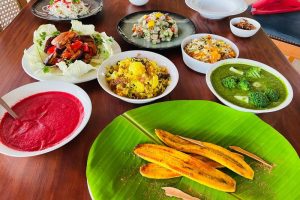 Nattika ayurveda retreat | diet and protein metabolism 3 Nattika ayurveda retreat diet and protein metabolism