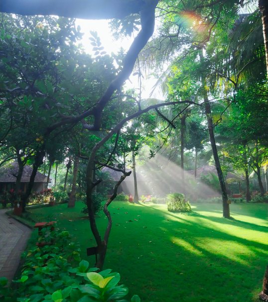 best season to visit beach resort kerala content