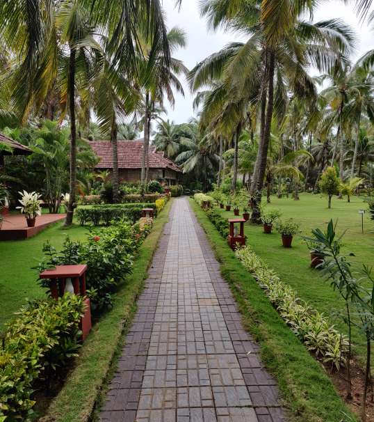 varshacontent