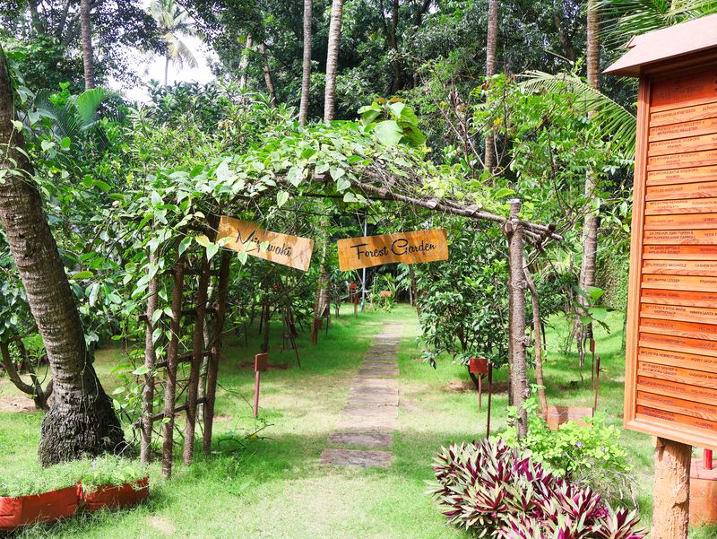 Miyawaki Forest