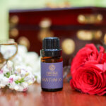 Essential Oil_Santhwan Props_2026_Nattika Life
